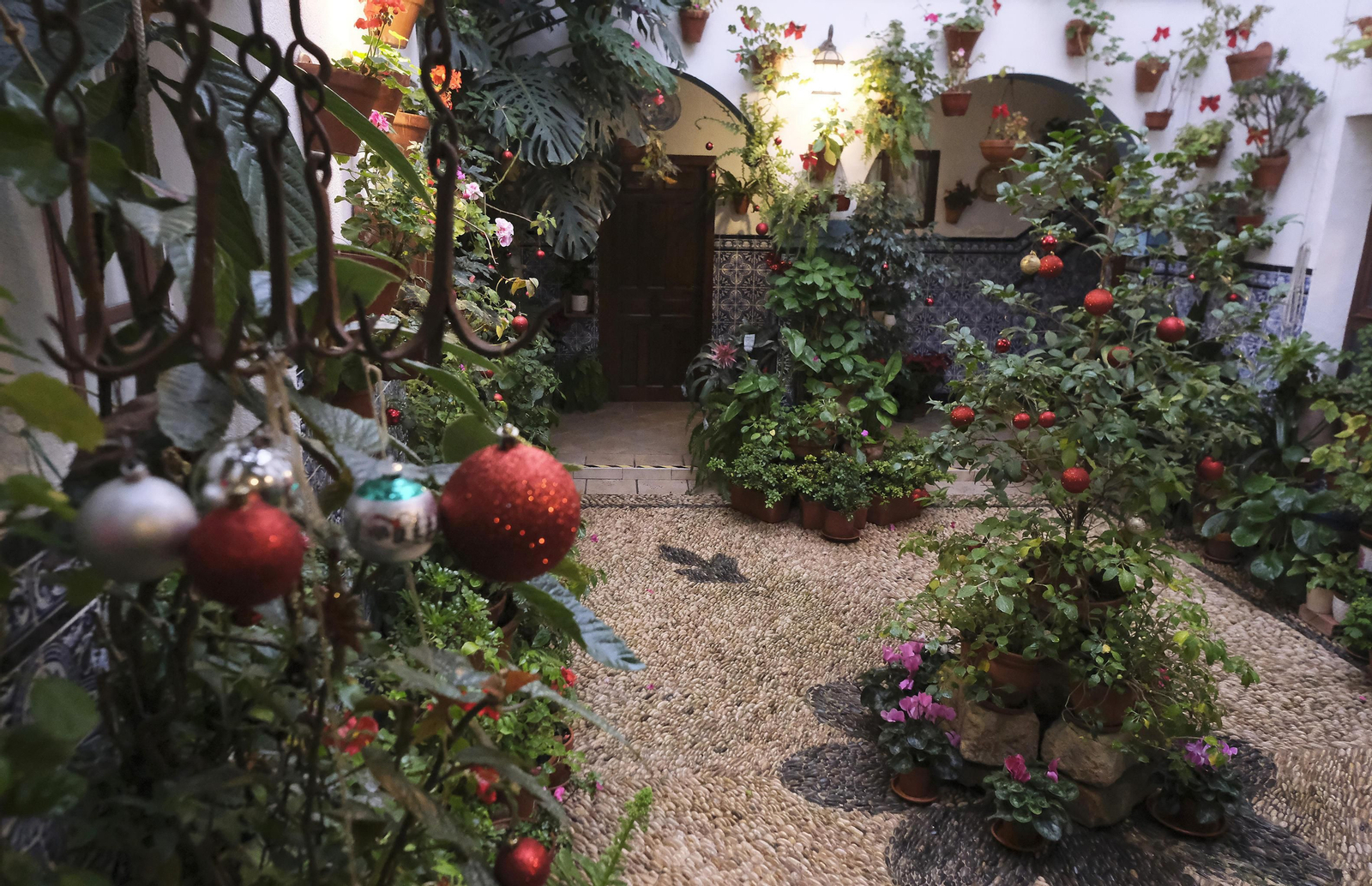 El patio de Pedro Fernández, 6, uno de los incorporados tras la declaración, preparado para abrir.