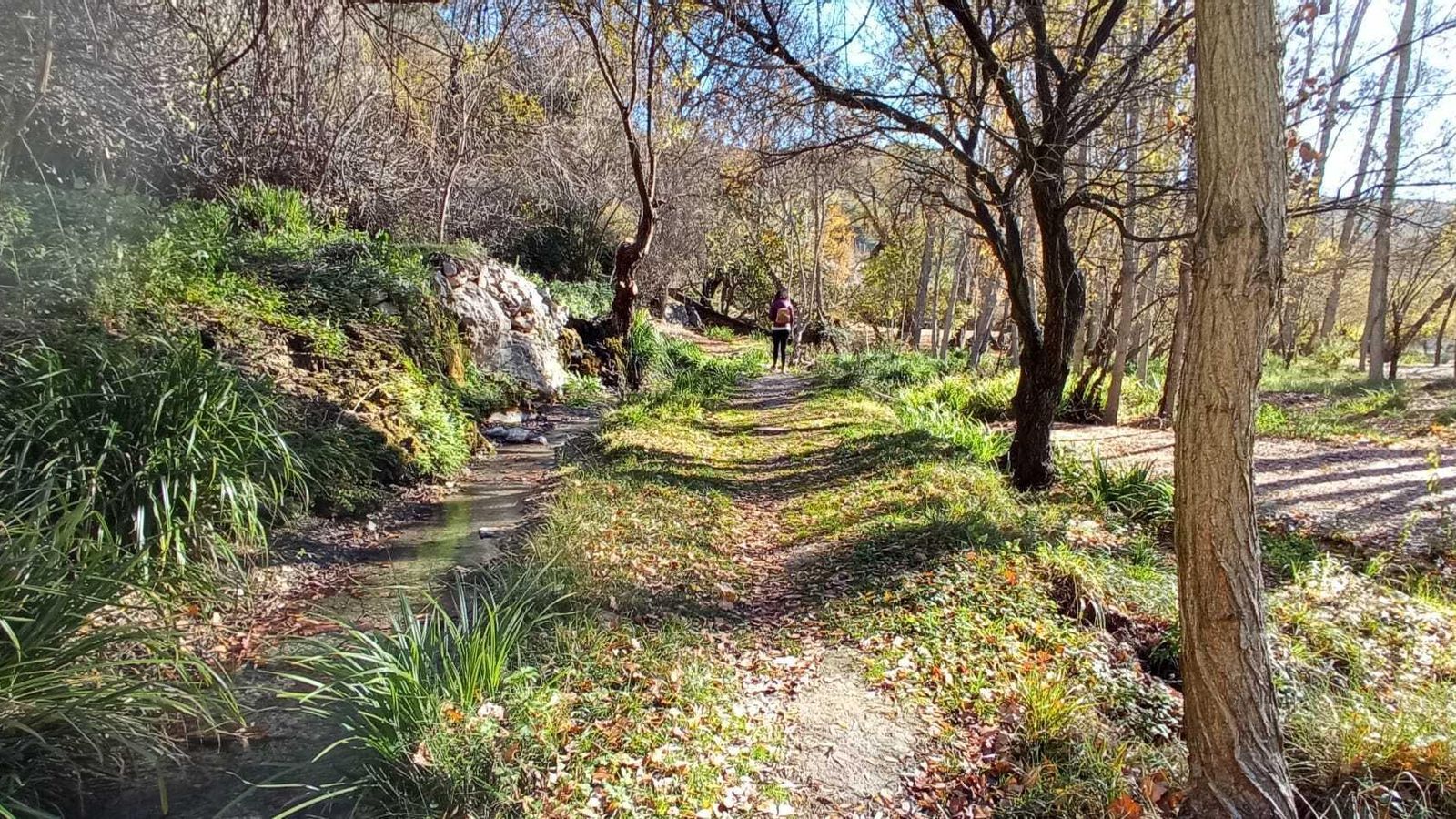 Las imágenes de la ruta del Bosque Encantado de Higueras