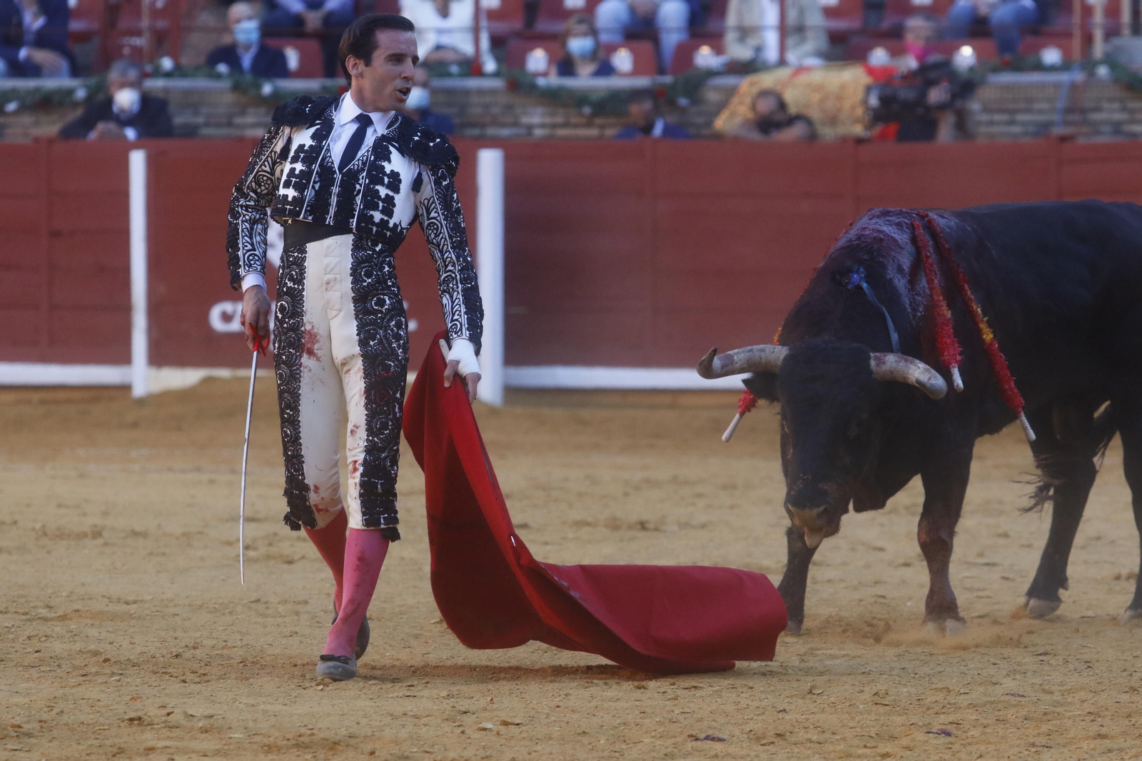 Las fotos del mano a mano de Morante y Juan Ortega en Córdoba