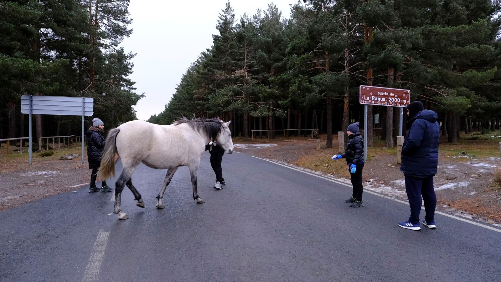 Así está el Puerto de La Ragua, la 'otra' Sierra Nevada