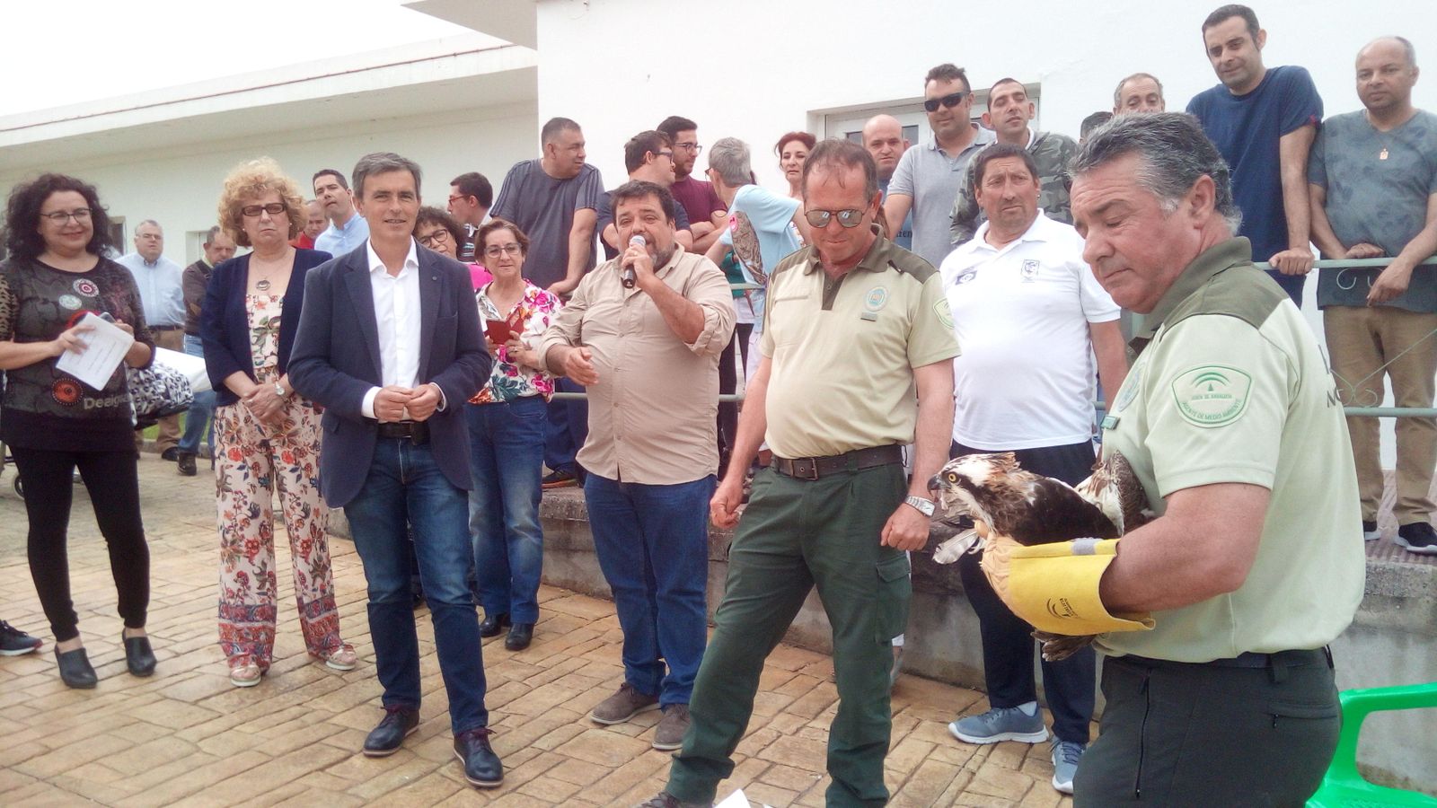 Técnicos de Medio Ambiente muestran a los miembros del centro el águila pescadora antes de liberarla.