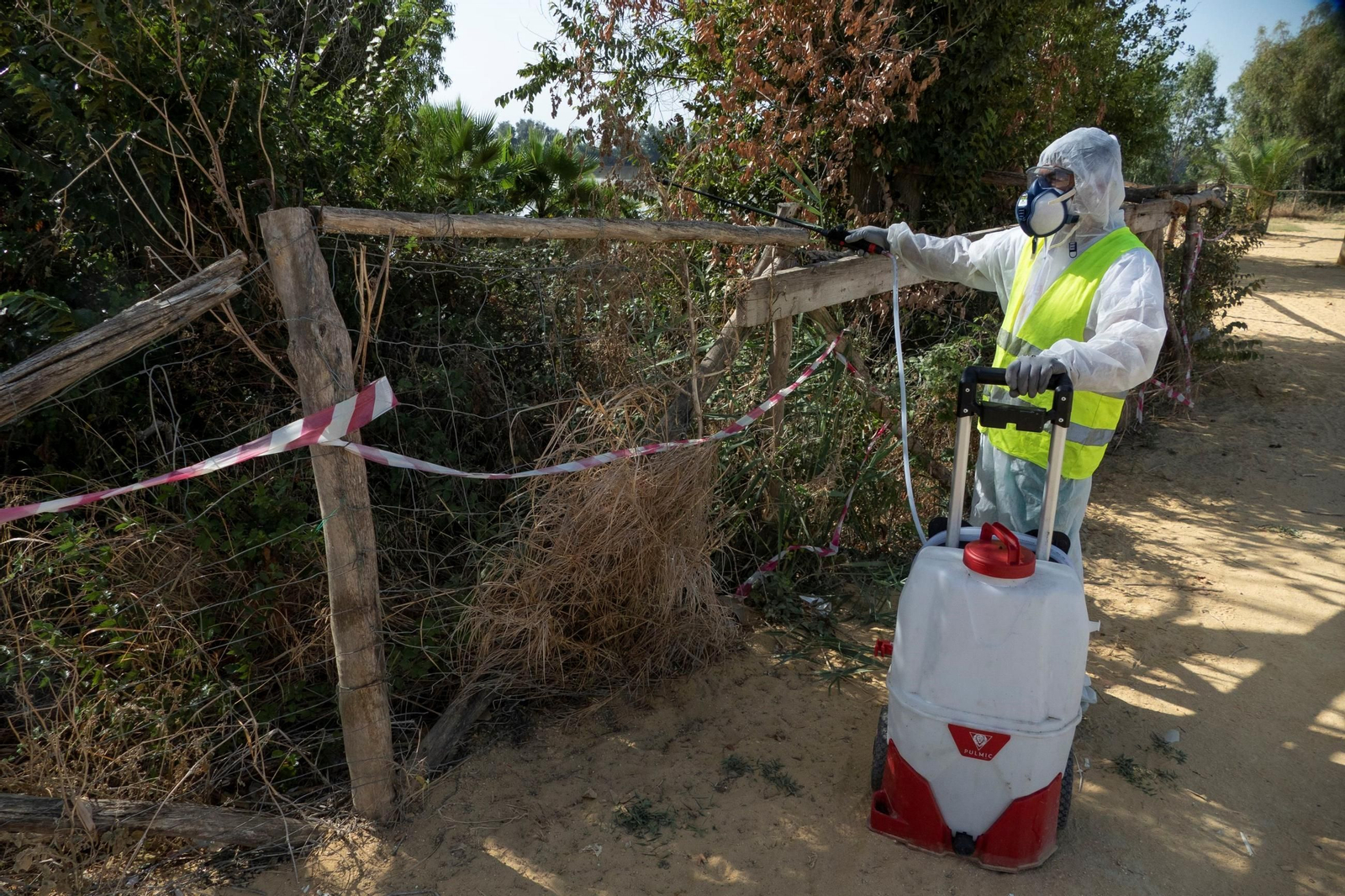Imagen de archivo de las tareas de fumigación cerca del Guadalquivir para evitar la propagación del mosquito que transmite la enfermedad del virus  del Nilo .