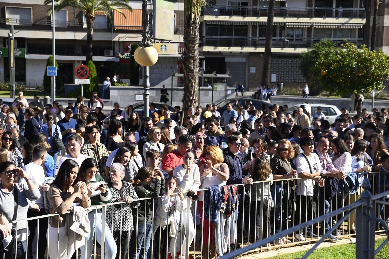 El primer certamen de bandas de Córdoba por Santa Cecilia, en imágenes