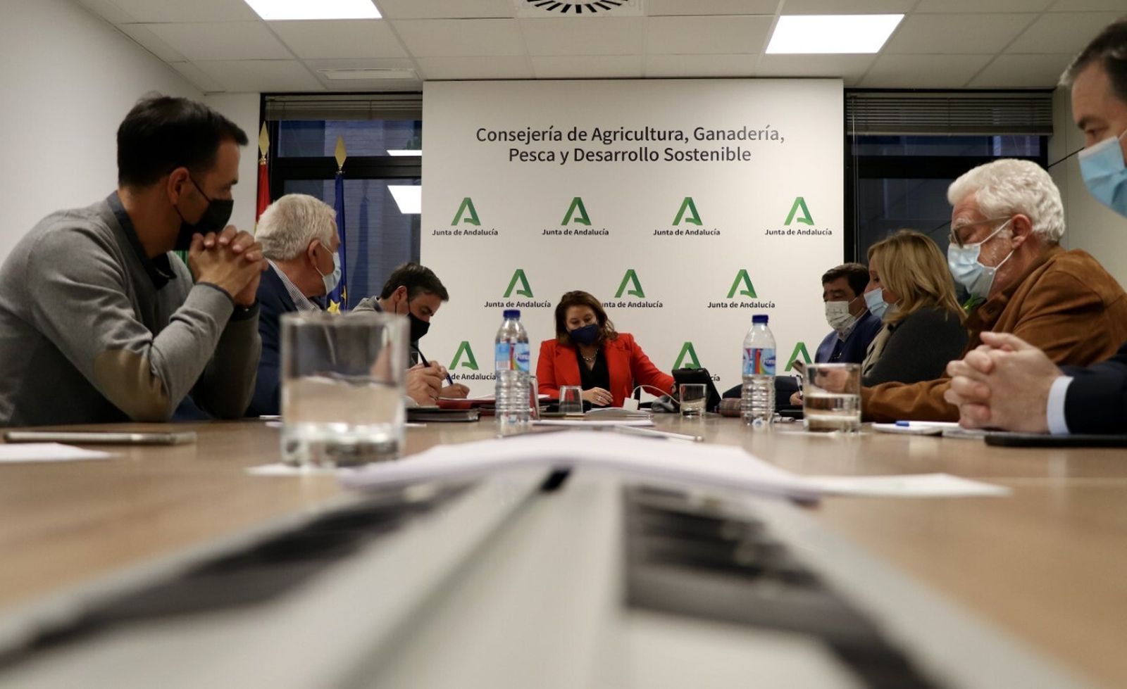 Mesa de Interlocución Agraria para tratar las alegaciones al plan nacional de la PAC
