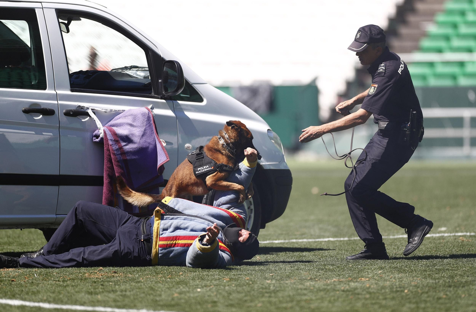 Exhibición de la Policía Nacional en el Estadio Benito Villamarín