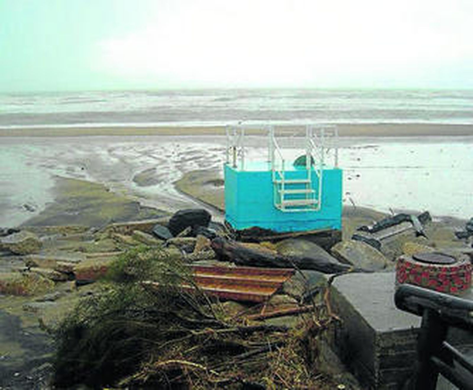 La naturaleza contra todo