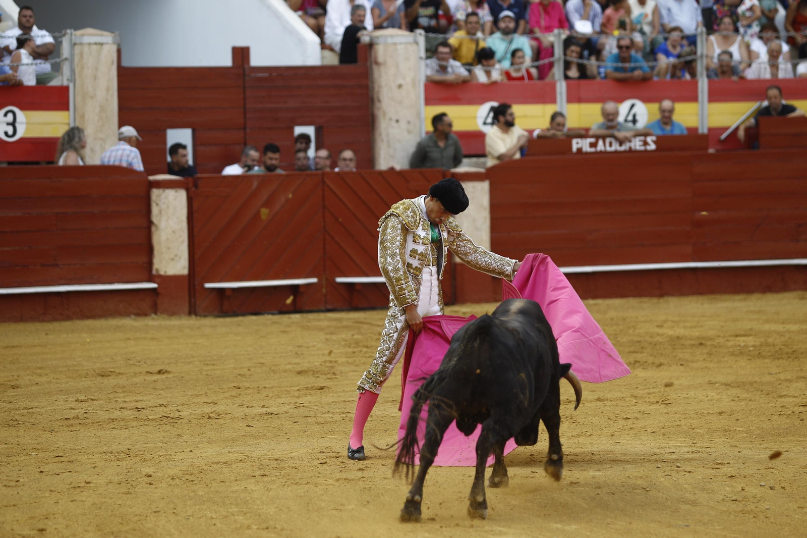 Las mejores imágenes de la clase práctica de la Escuela Municipal Taurina de Almería