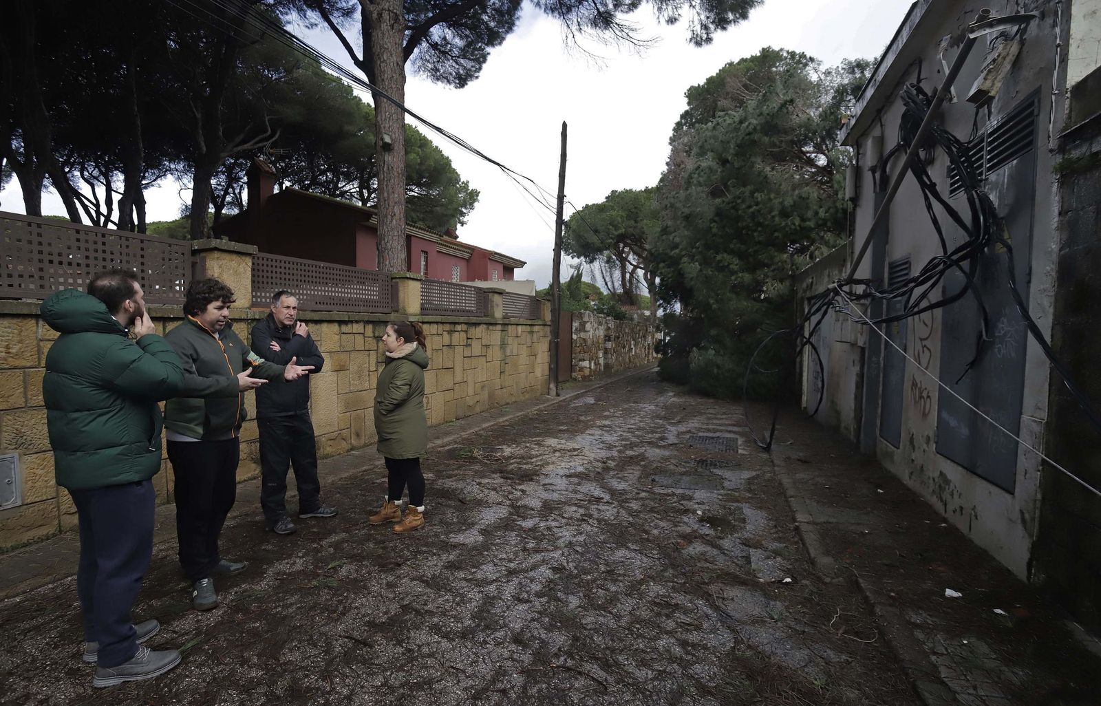 24 horas sin electricidad en la urbanización Los Pinos por árboles caídos tras la borrasca Kristin, en imágenes