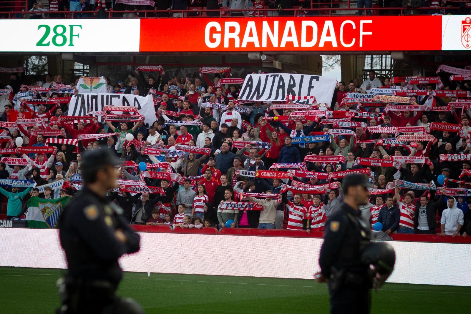 Imagen de la grada del Nuevo Los Cármenes en el derbi frente al Málaga.