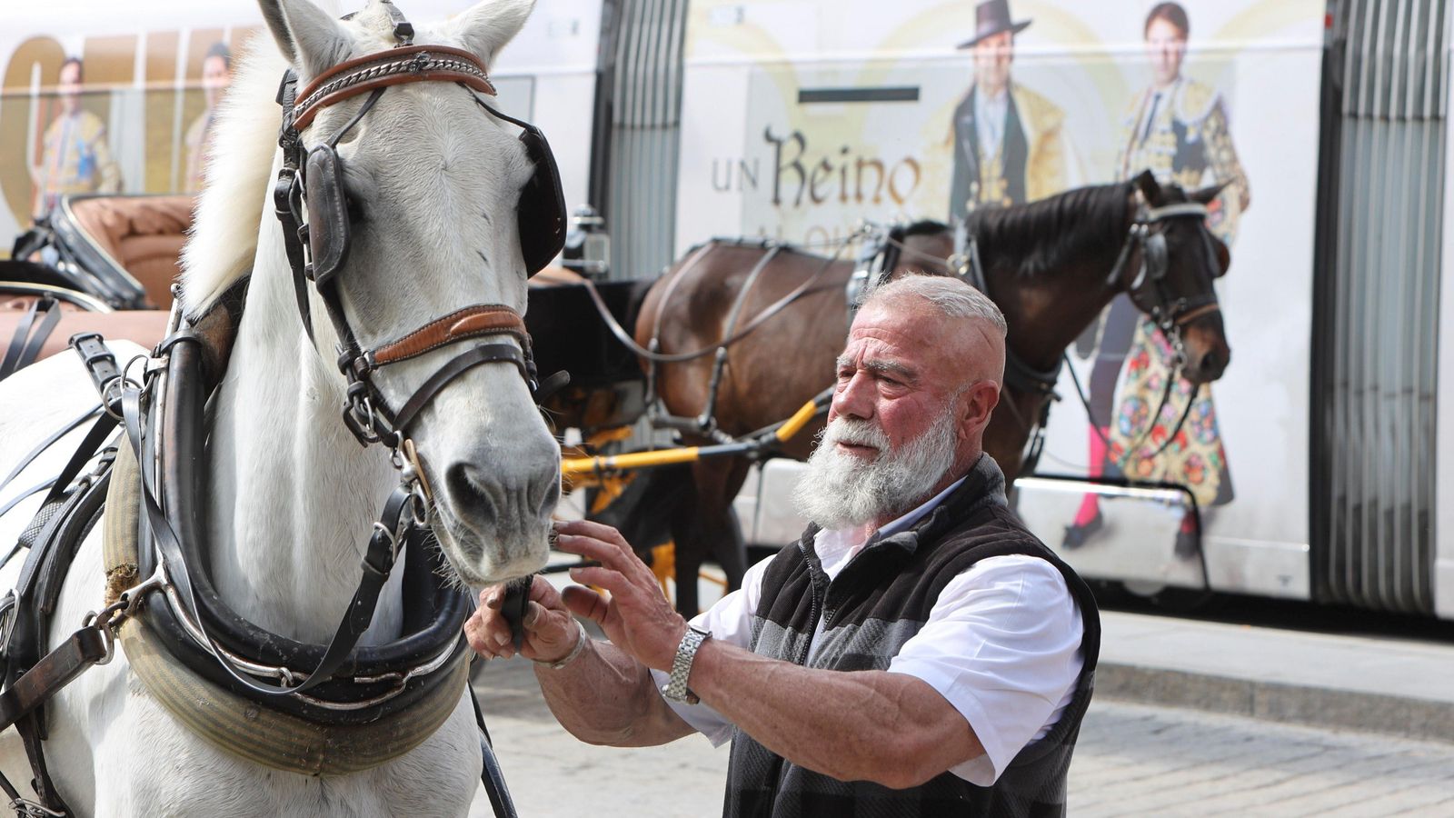 José Ramón Brito junto a su yegua