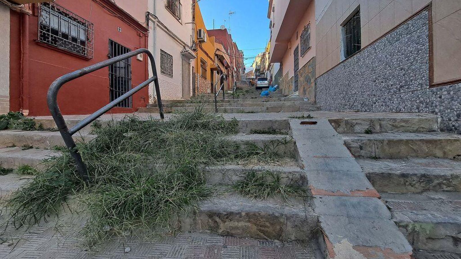 Las hierbas crecen en una de las calles del barrio.