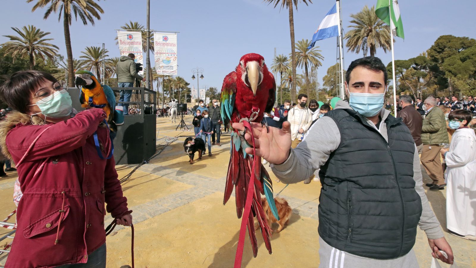 Imágenes de la 'Fiesta de San Antón 2022'