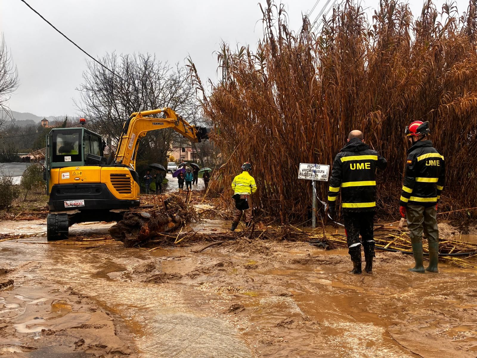 Efectivos de la UME en la Serranía rondeña trabajan para despejar carreteras.
