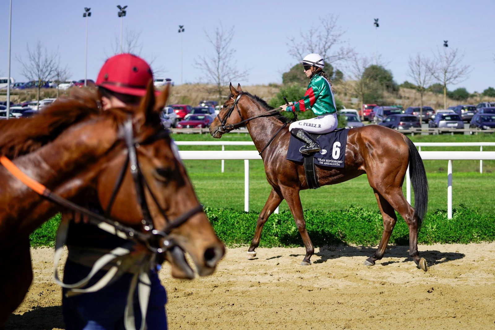Las fotos del Premio Diario de Sevilla en el hipódromo de Dos Hermanas