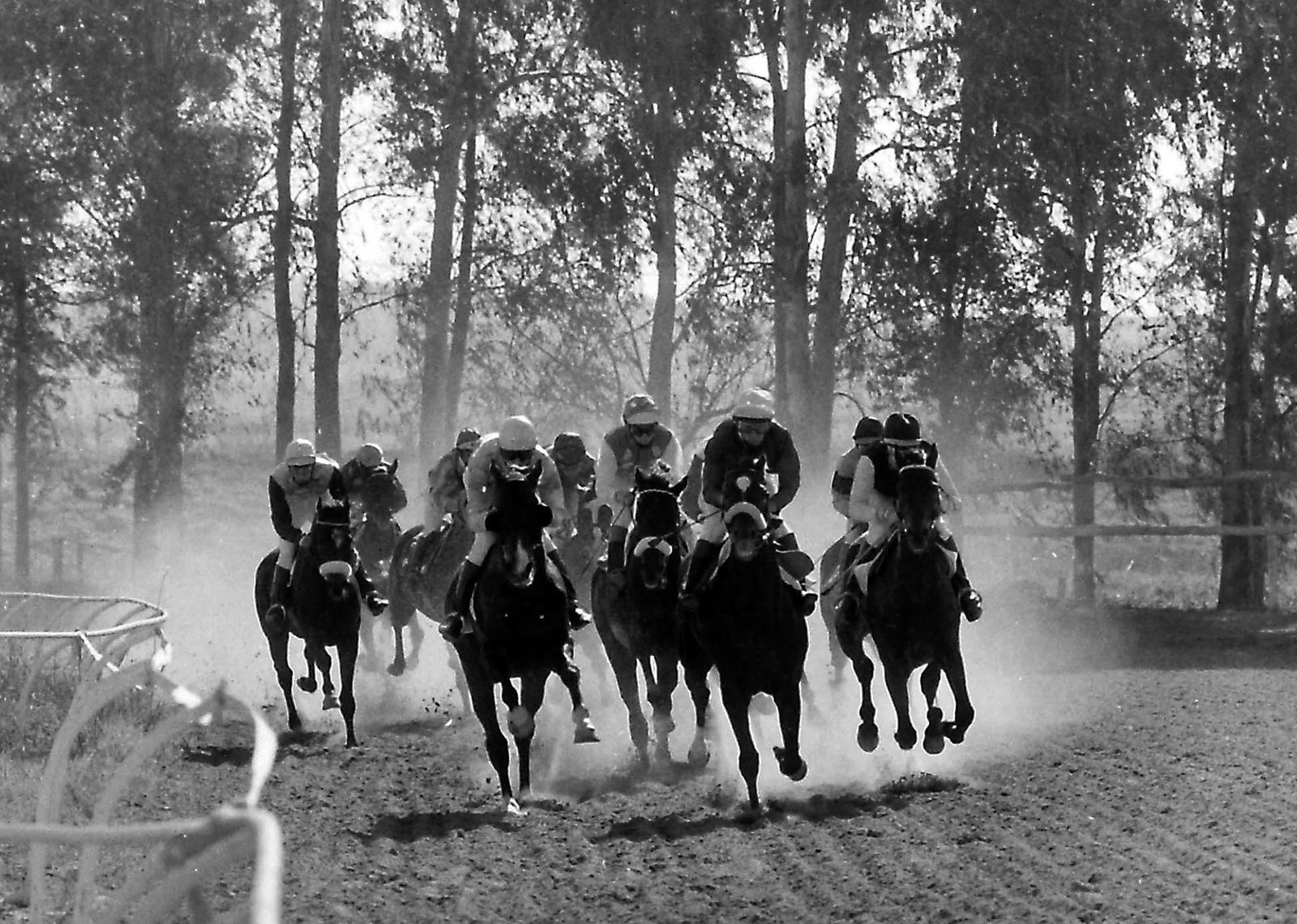 75 aniversario del hipódromo de Pineda