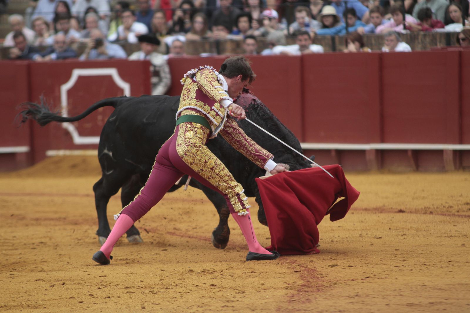 Las imágenes de la decimosexta de abono de La Maestranza