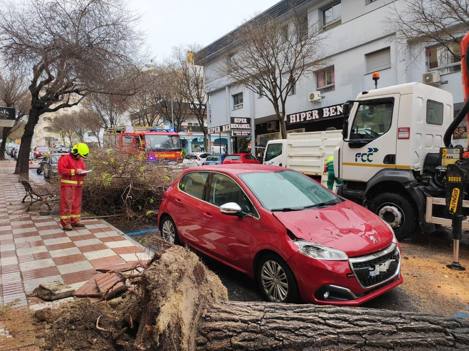 El árbol precipitado sobre un vehículo estacionado en la avenida Salvador Vicente.