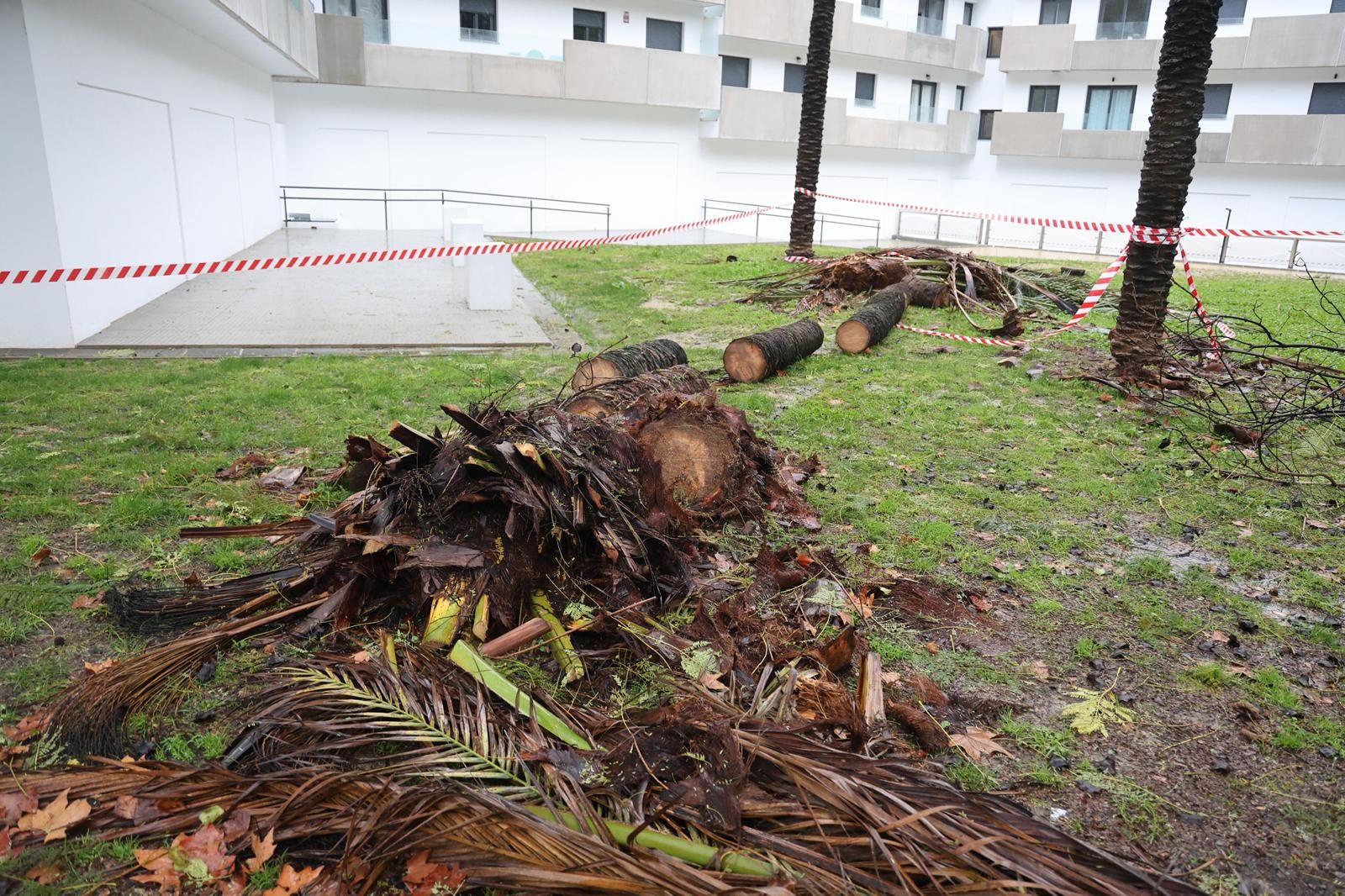 Fotografías de los destrozos de la borrasca Kristin en Huelva este miércoles