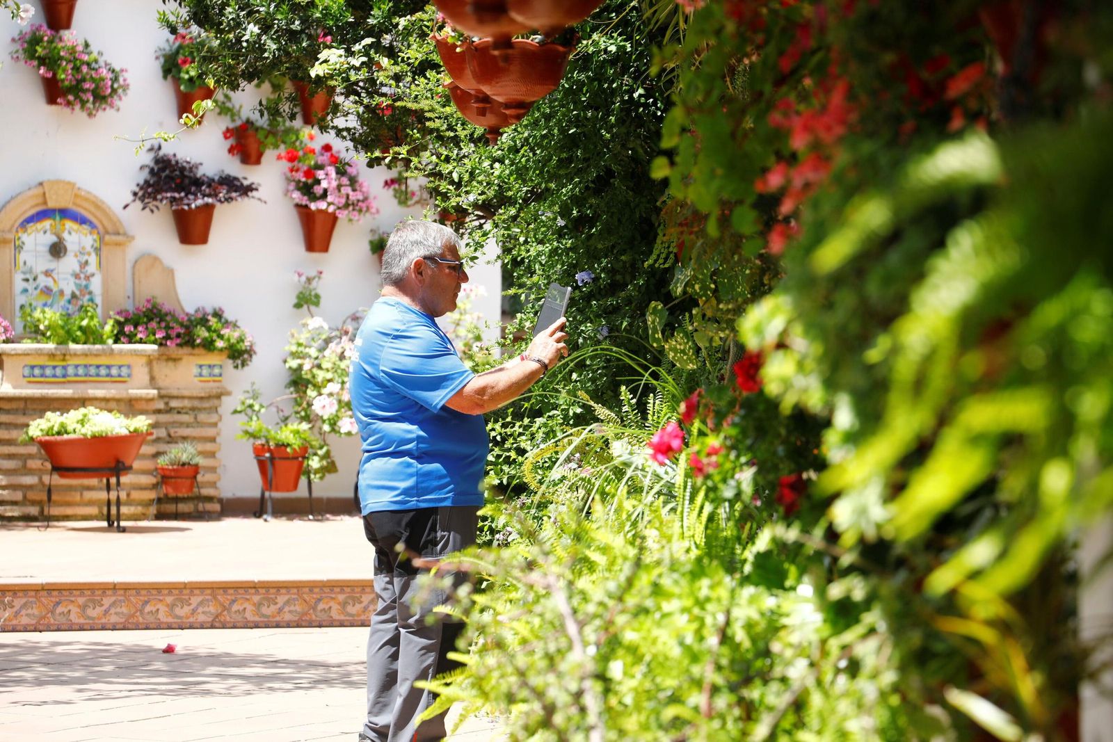 Un recorrido en imágenes por los patios de la ruta Regina-Realejo