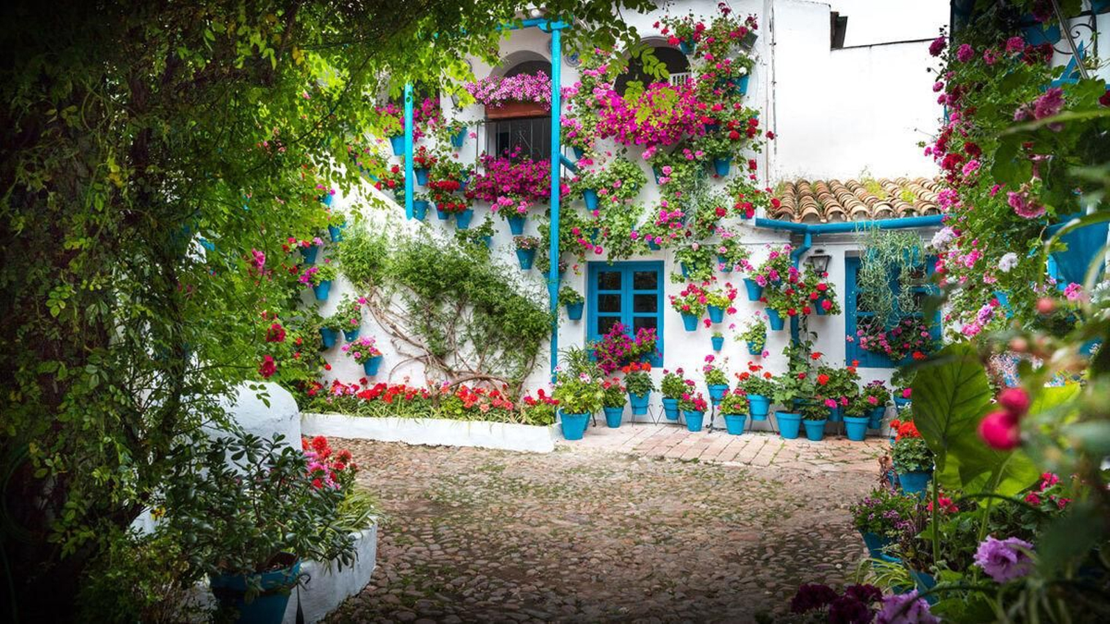 Los Patios de Córdoba fueron declarados Patrimonio Cultural Inmaterial de la Humanidad por la Unesco a finales de 2012