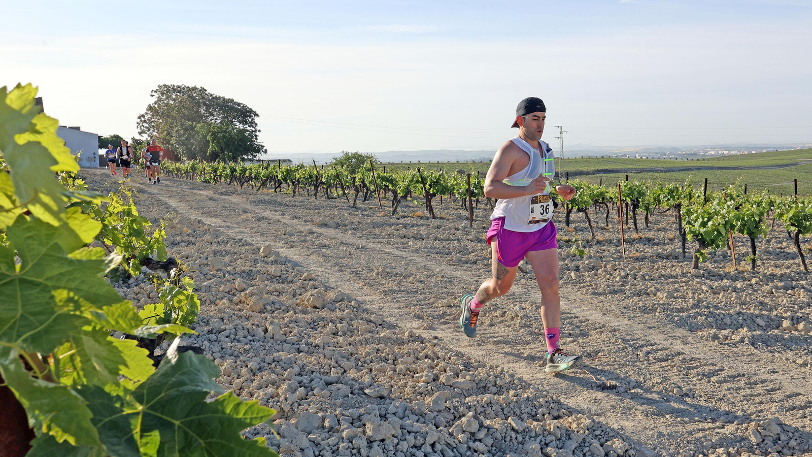 VI Sherry Maratón Jerez