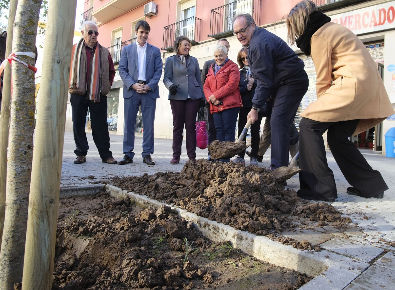 Un momento de la plantación de árboles este miércoles en la Avenida de Cádiz.