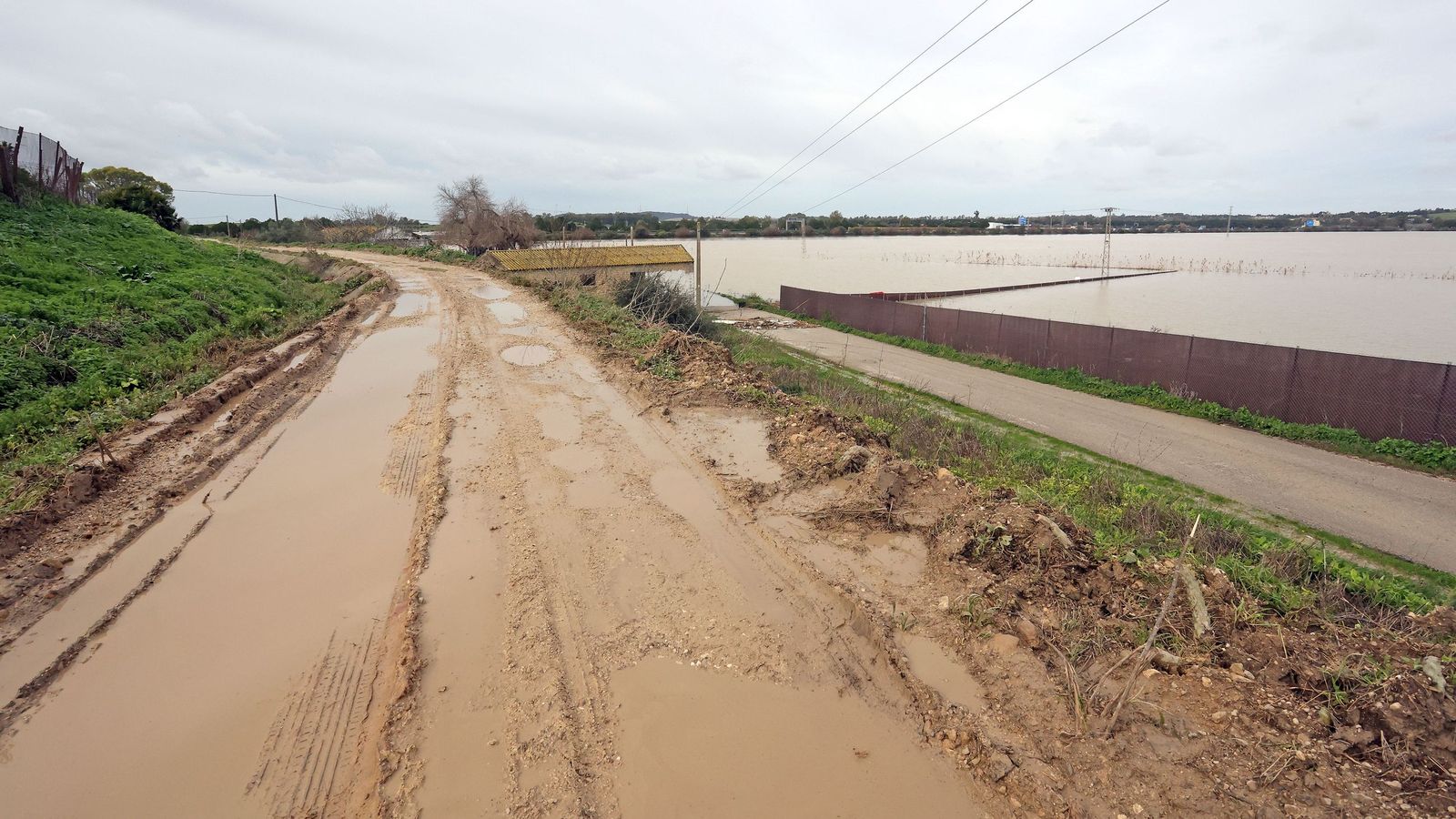 El Guadalete comienza a bajar su nivel poco a poco por la zona rural de Jerez