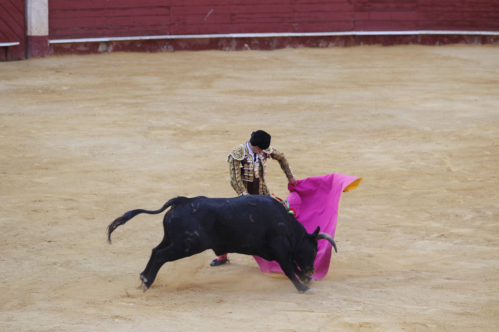 Fotogalería novillada Escuela Taurina de Almería. Feria de Almería 2019