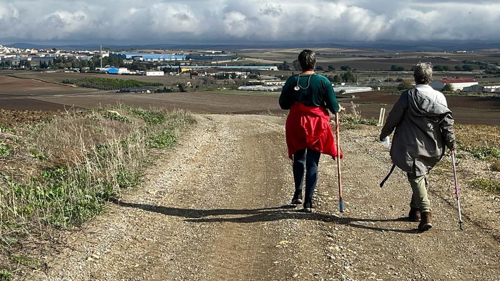 Otro tramo del Camino.