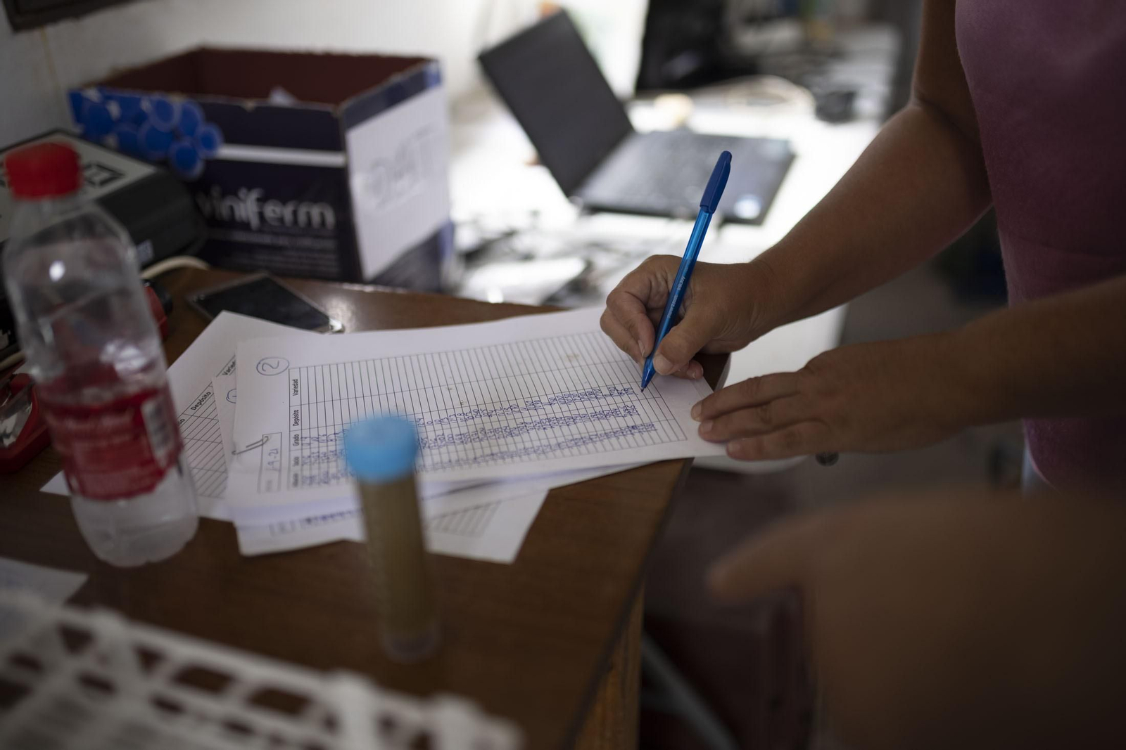 Imágenes de la vendimia en el Condado de Huelva