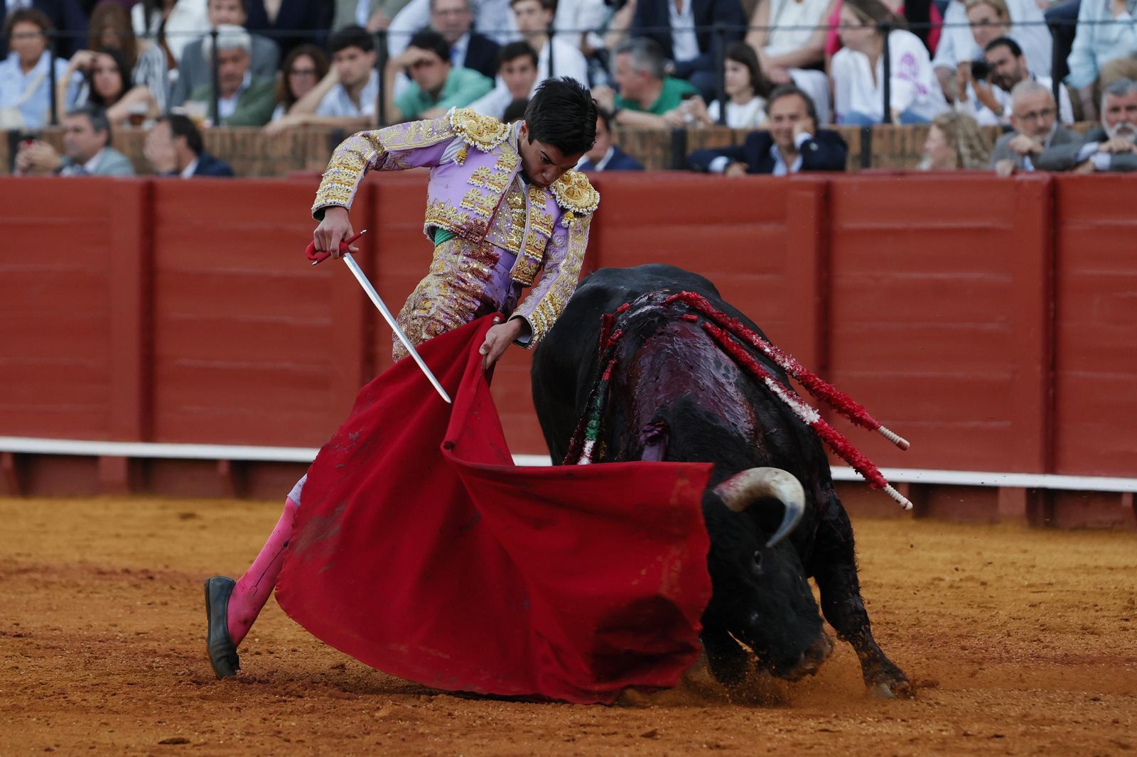 Las imágenes de la Novillada