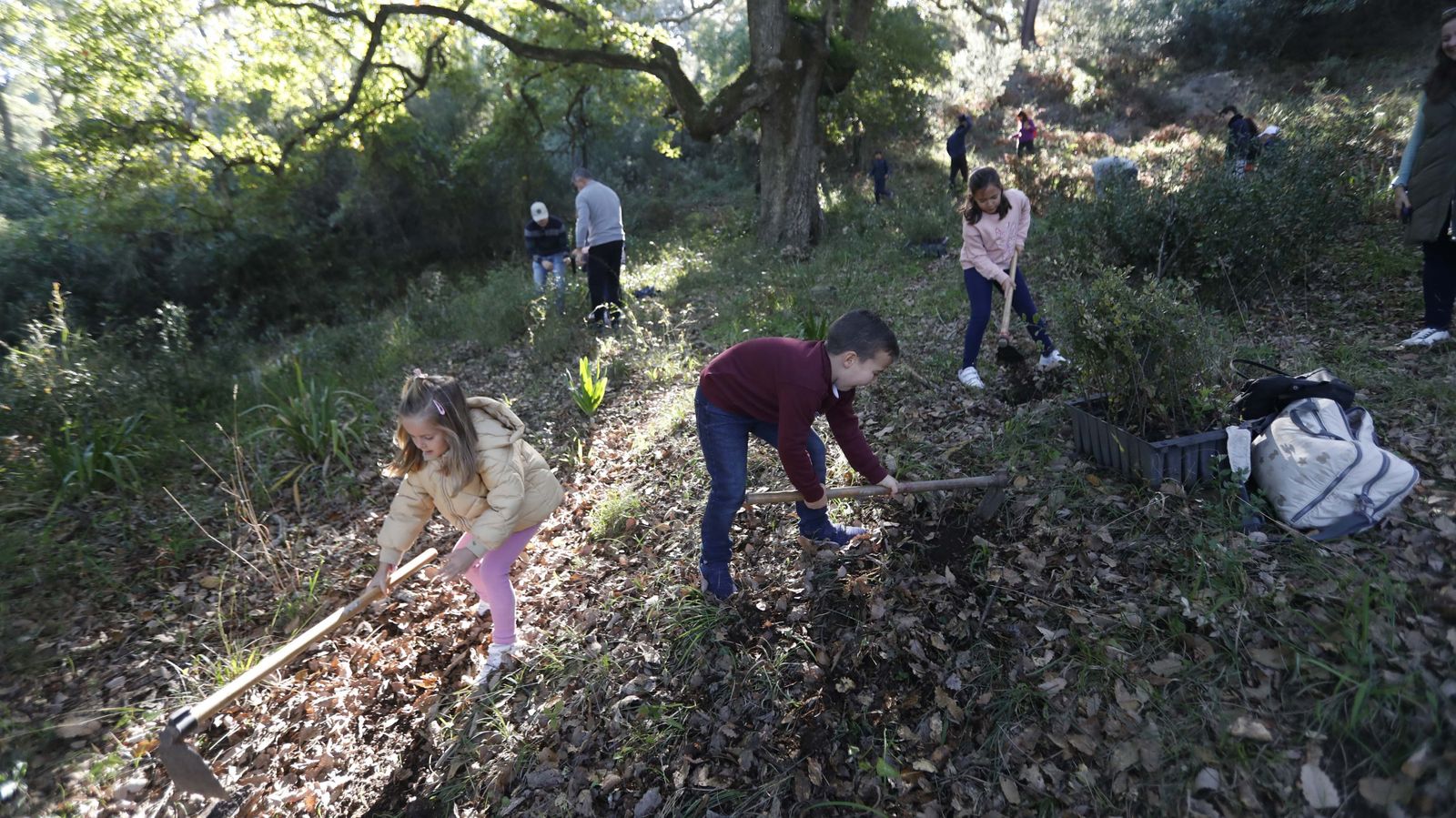 Jornada de reforestación en El Palancar por trabajadores de Acerinox, en imágenes