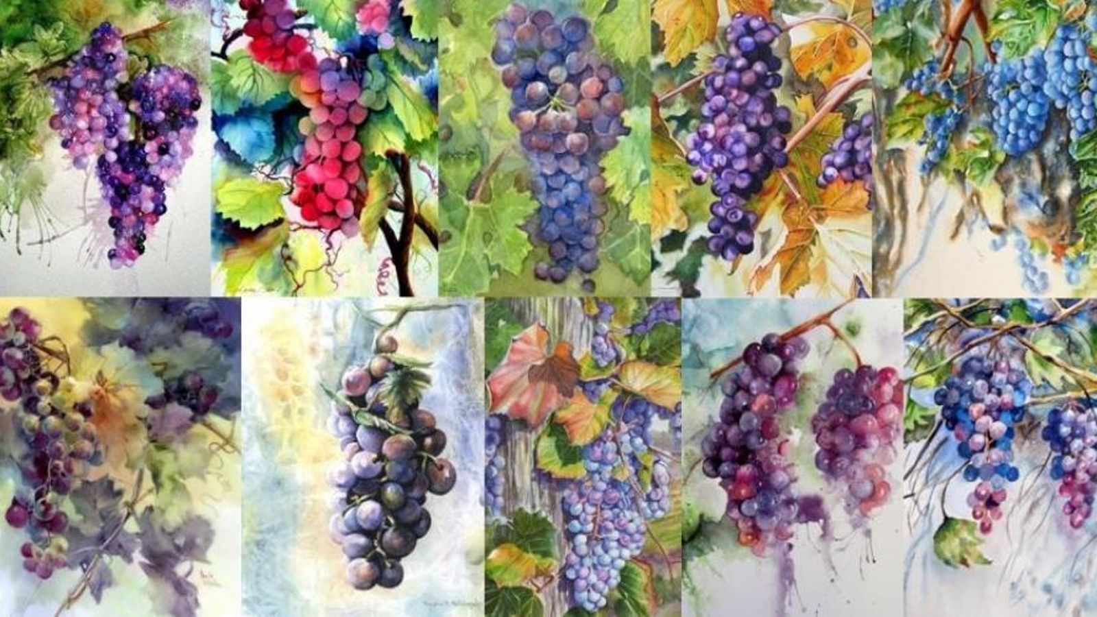 Distintas variedades de uva tinta