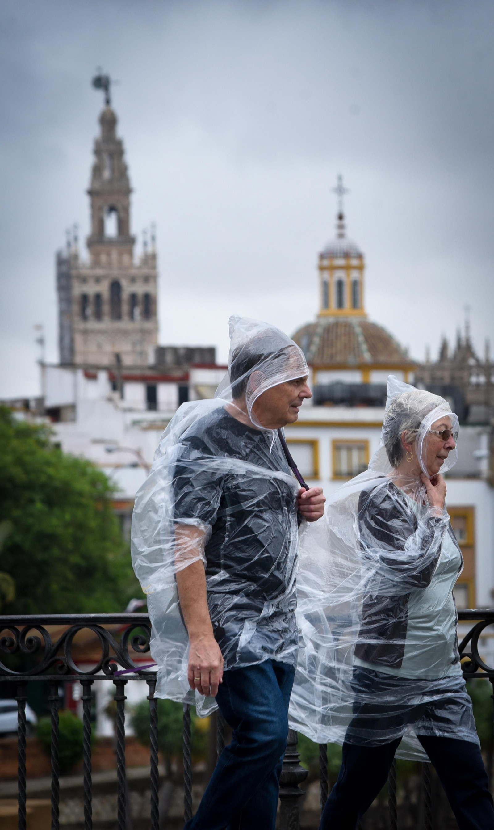 Imágenes del temporal de lluvia y viento en Sevilla
