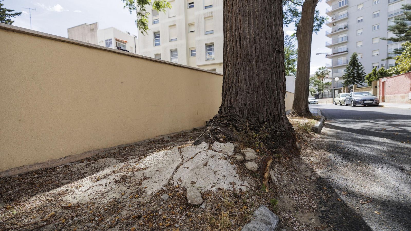 Acerado de la calle Pérgolas, totalmente intransitable desde hace años.