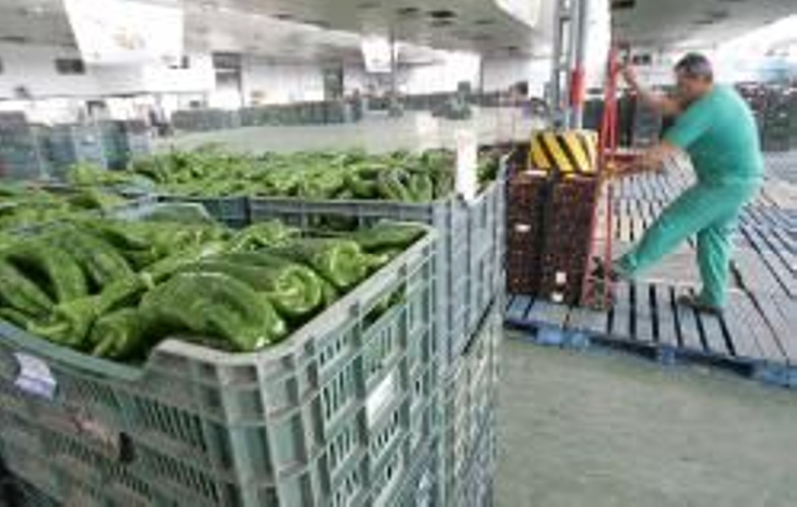 El veto ruso desbarata los planes