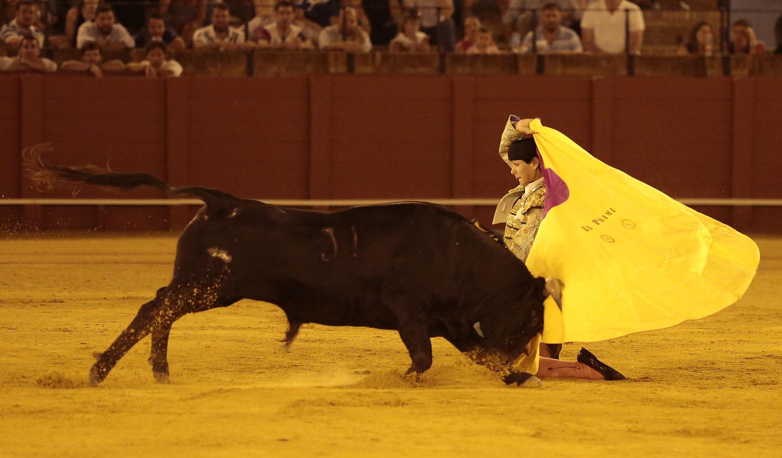 Las imágenes de la primera novillada de promoción en La Maestranza