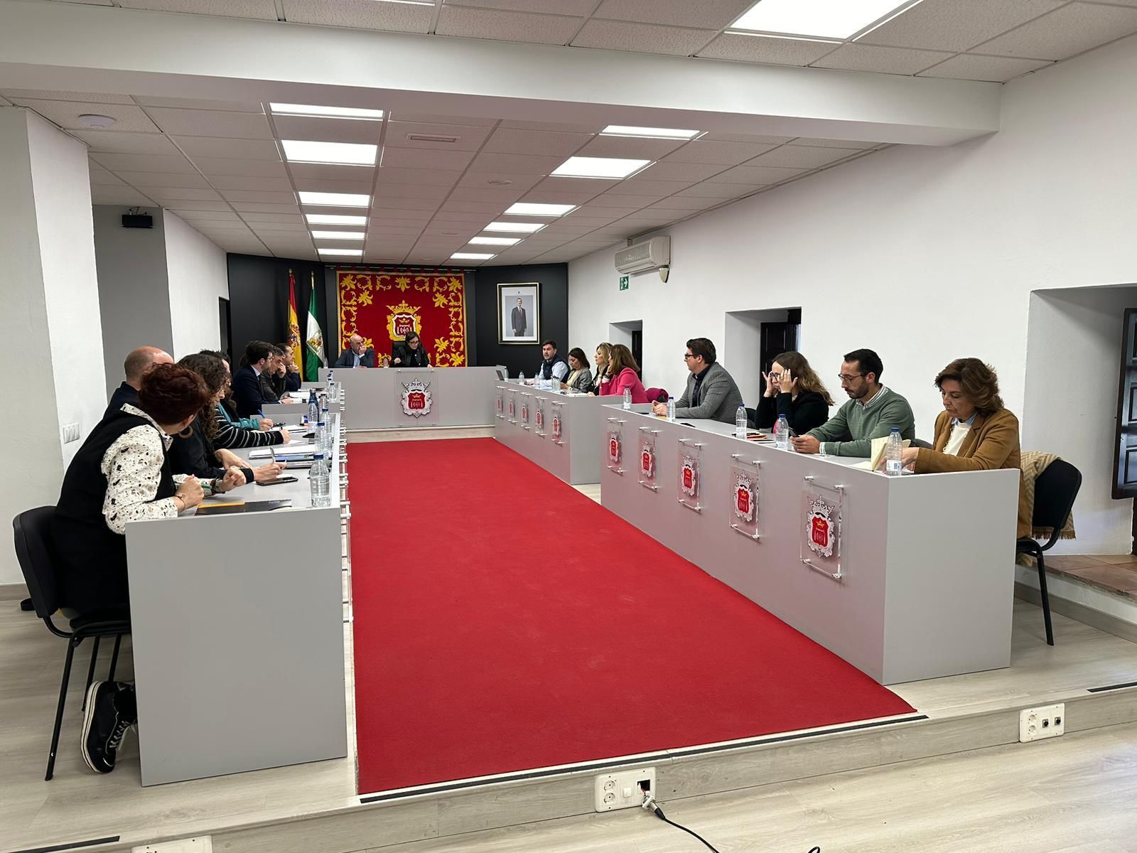 Sesión plenaria en el Ayuntamiento de Ronda.