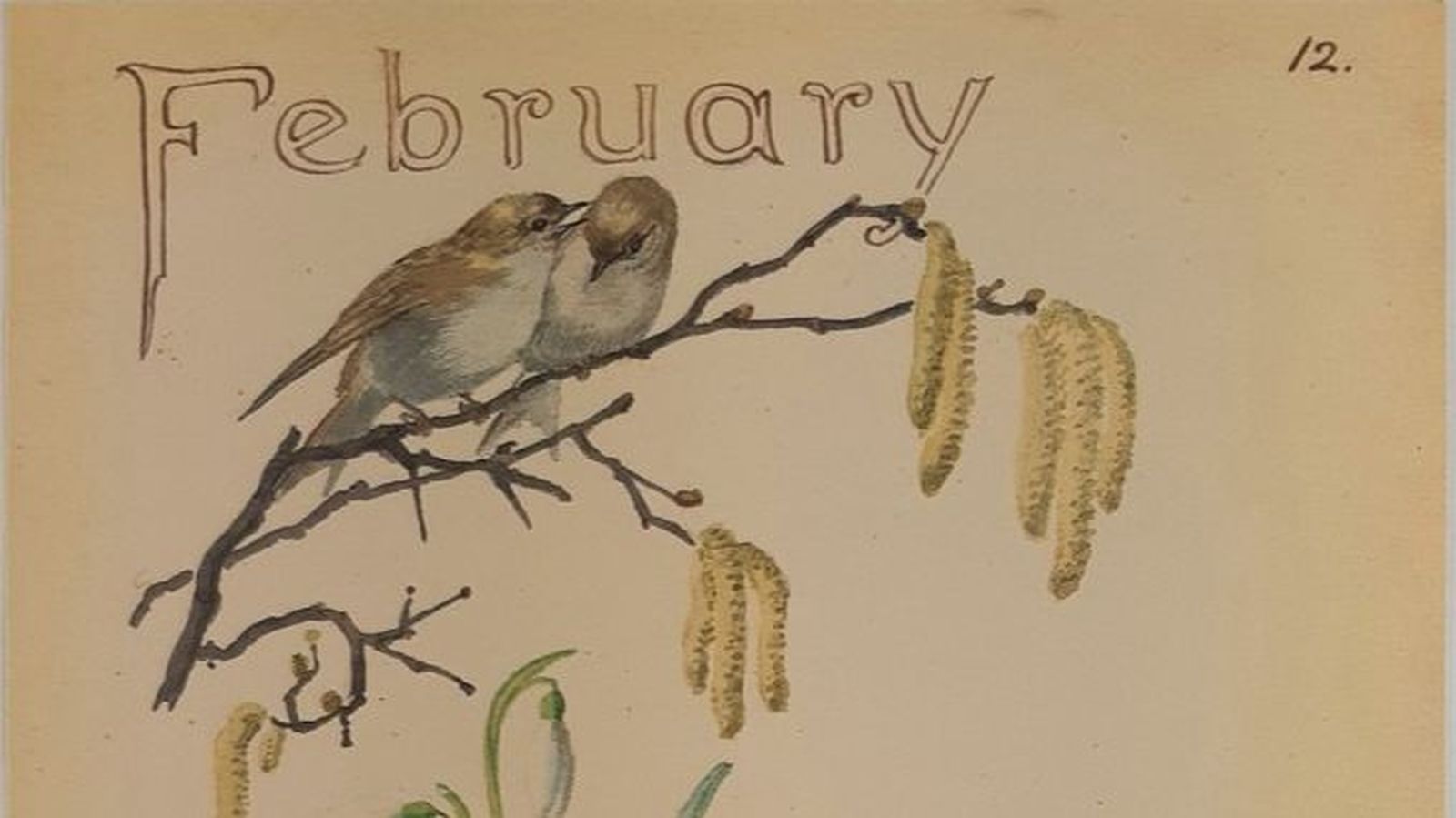 Detalle de la ilustración del mes de febrero del diario de Edith Holden.