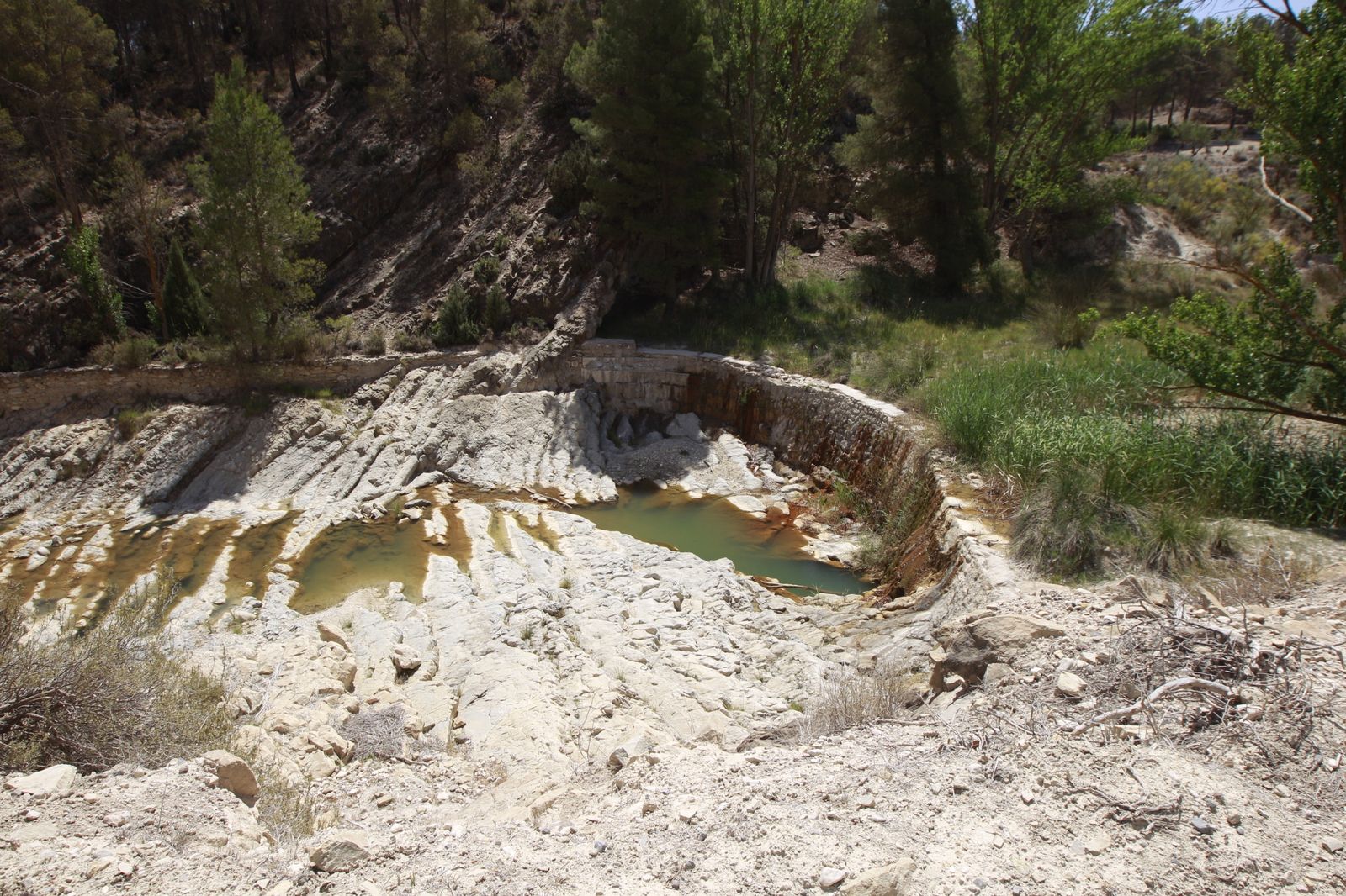Imágenes de la sequía que golpea con dureza la producción de cereal en Los Vélez