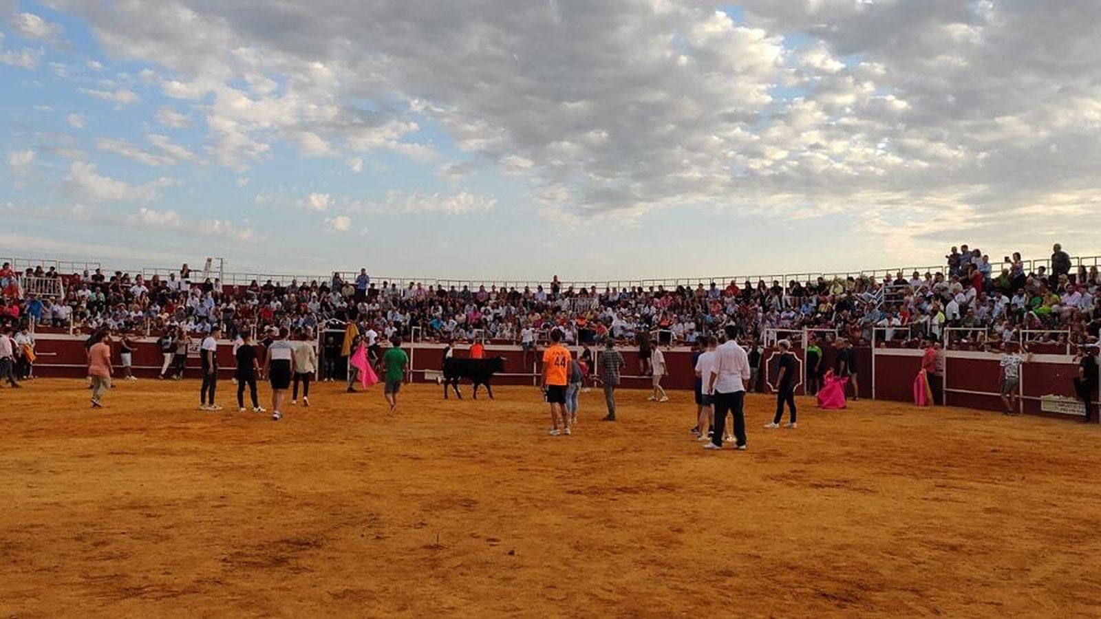 Villa del Río recupera la suelta de vaquillas, en imágenes