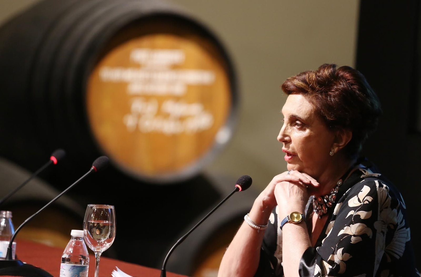 Un momento de la conferencia.