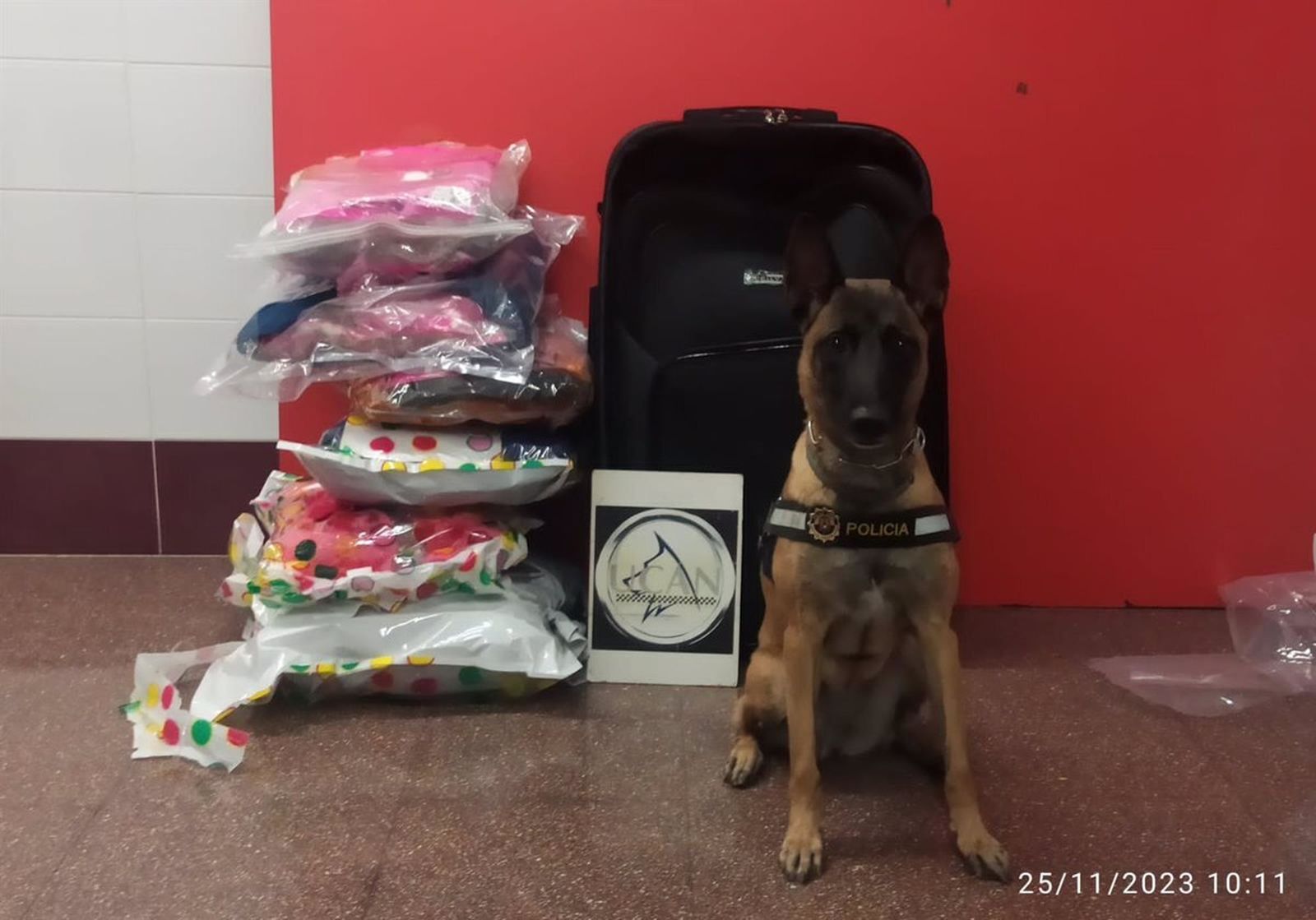 'Kata', el perro de la Policía Local de Alicante, junto a los estupefacientes incautados.