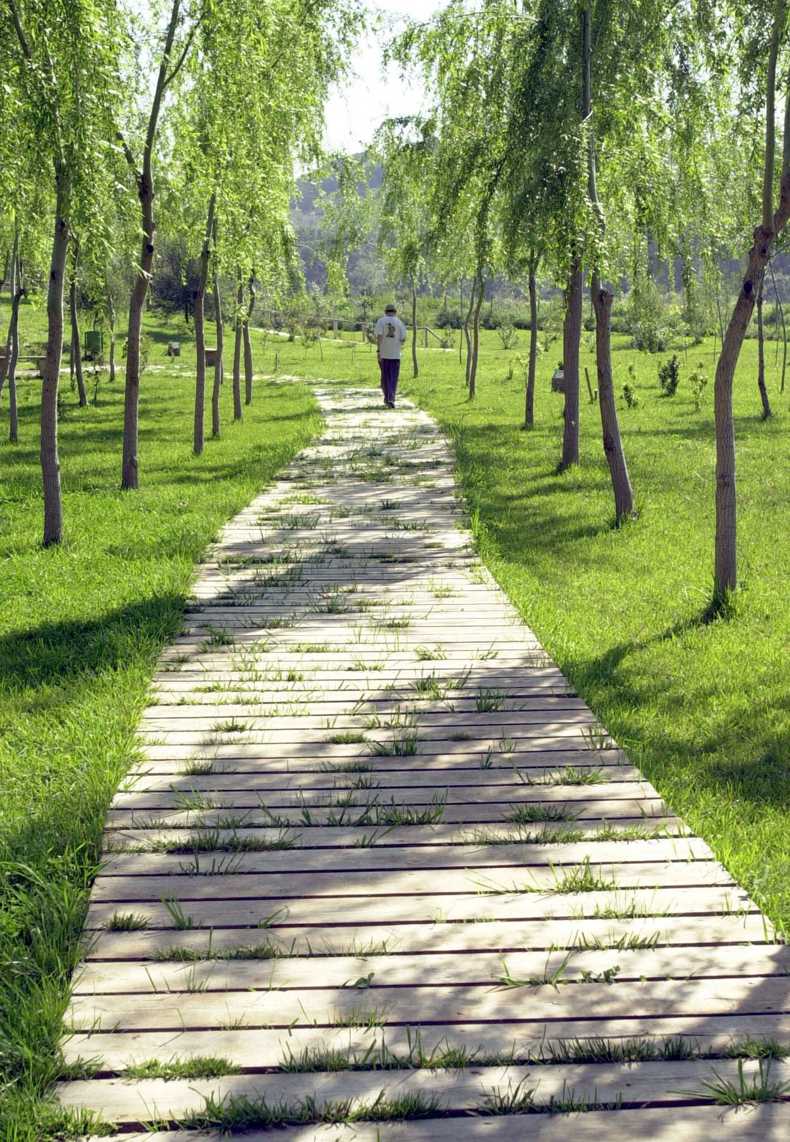 Imagen del Corredor Verde del Guadiamar.