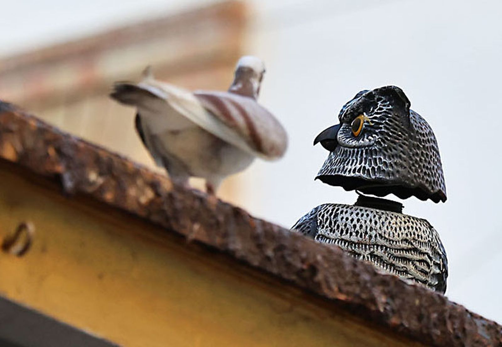 Las imágenes más destacadas del lunes 27 de enero en Huelva