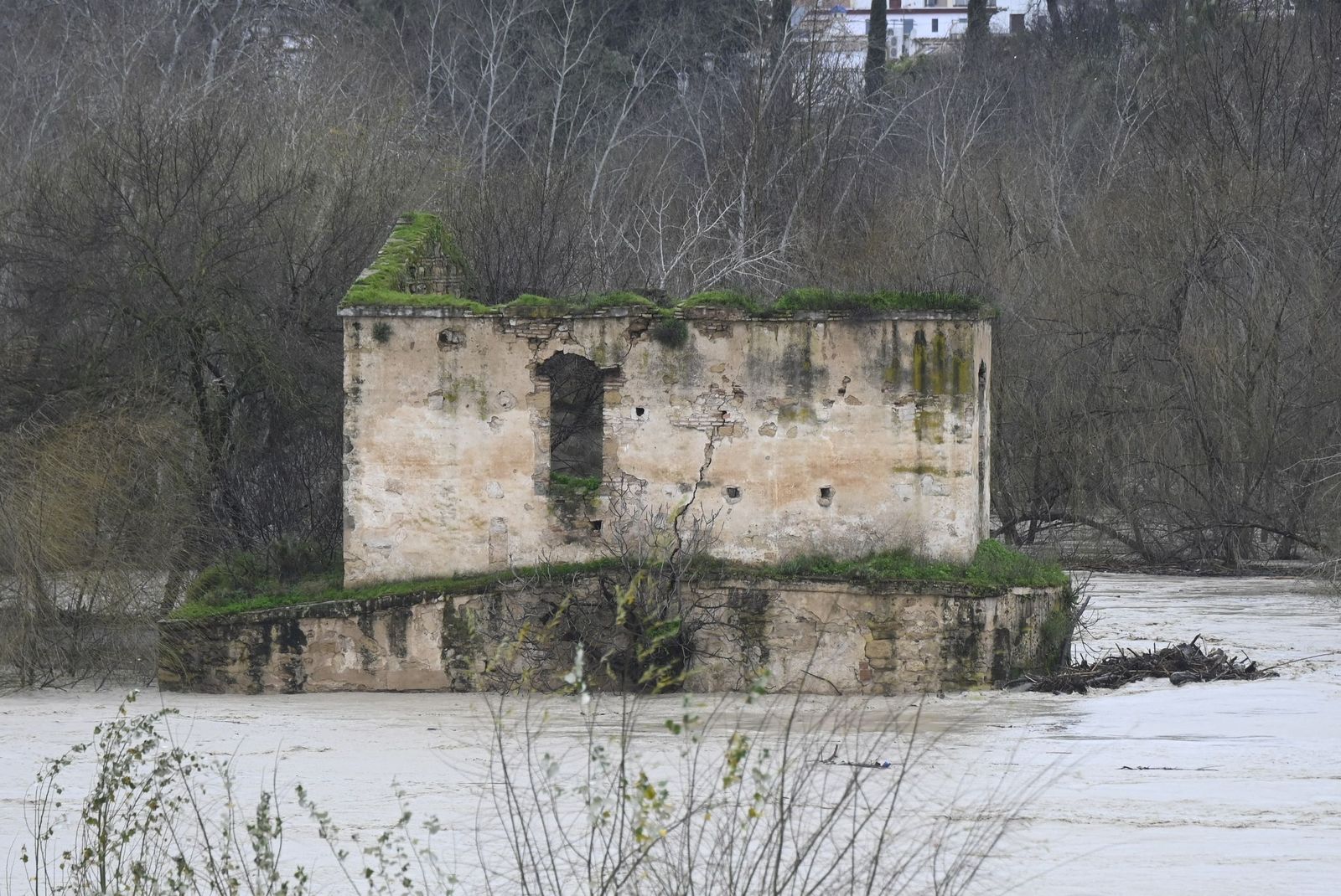 El río Guadalquivir supera los cuatro metros de altura a su paso por Córdoba, en imágenes
