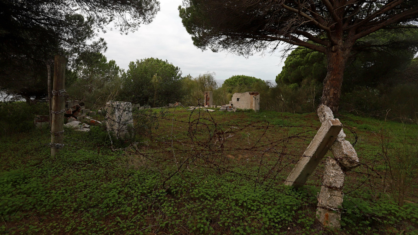 Las mejores fotos de Paloma Baja