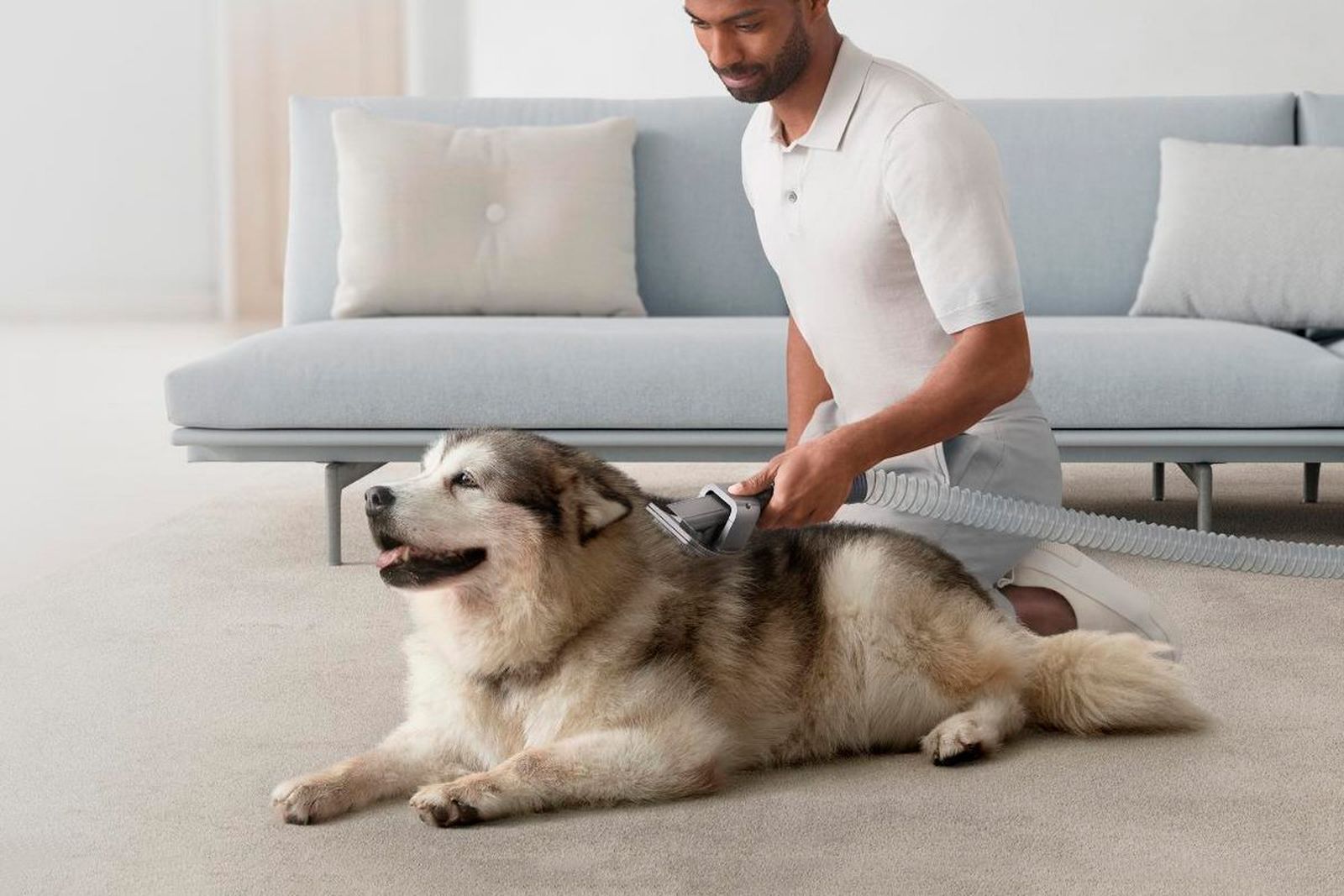 ¡Tu casa libre de pelos! gracias al kit de limpieza para mascotas de Dyson