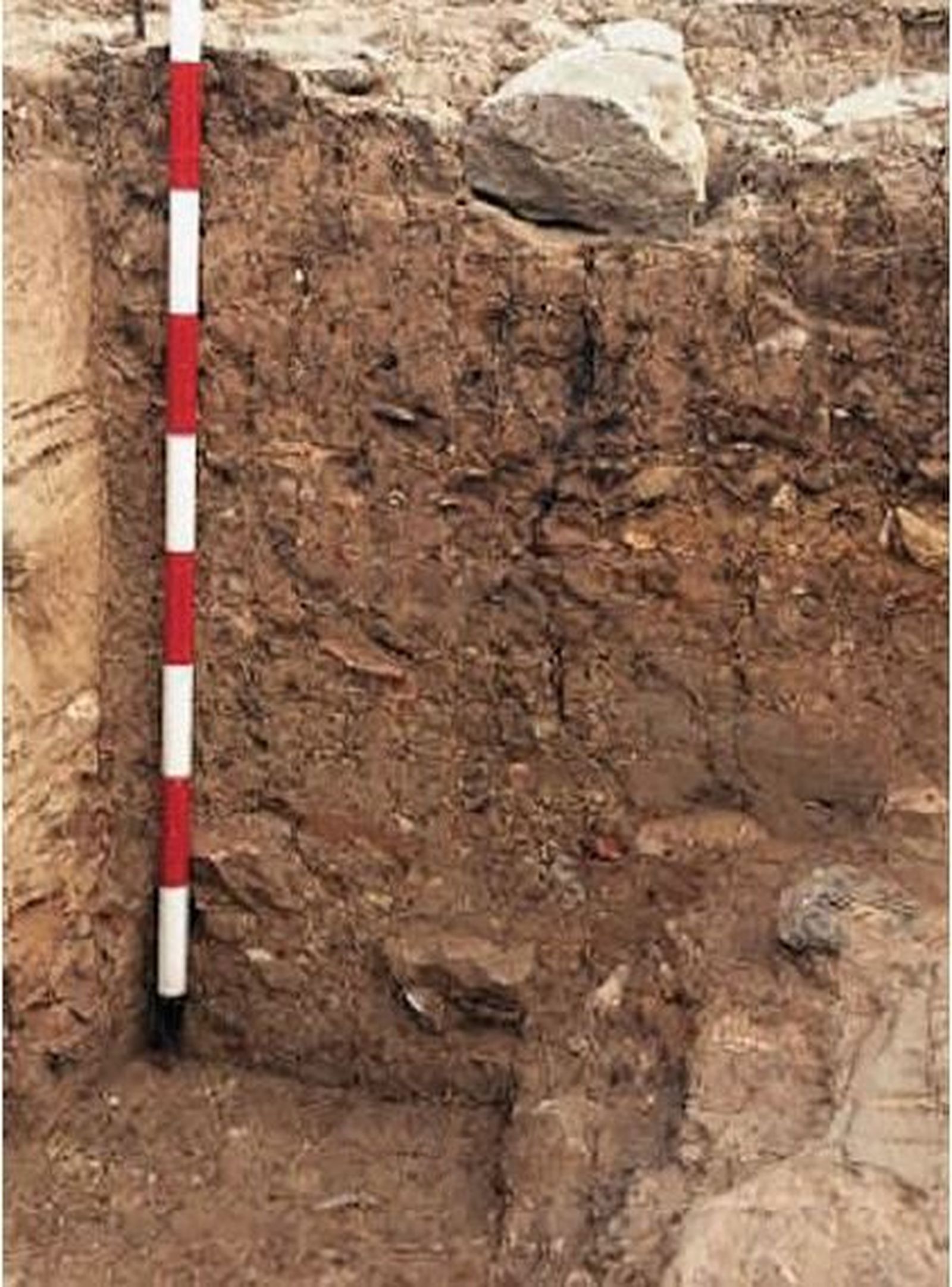 Perfil oeste del corte C.4/B (fosa de fundación). Campaña de 1998.