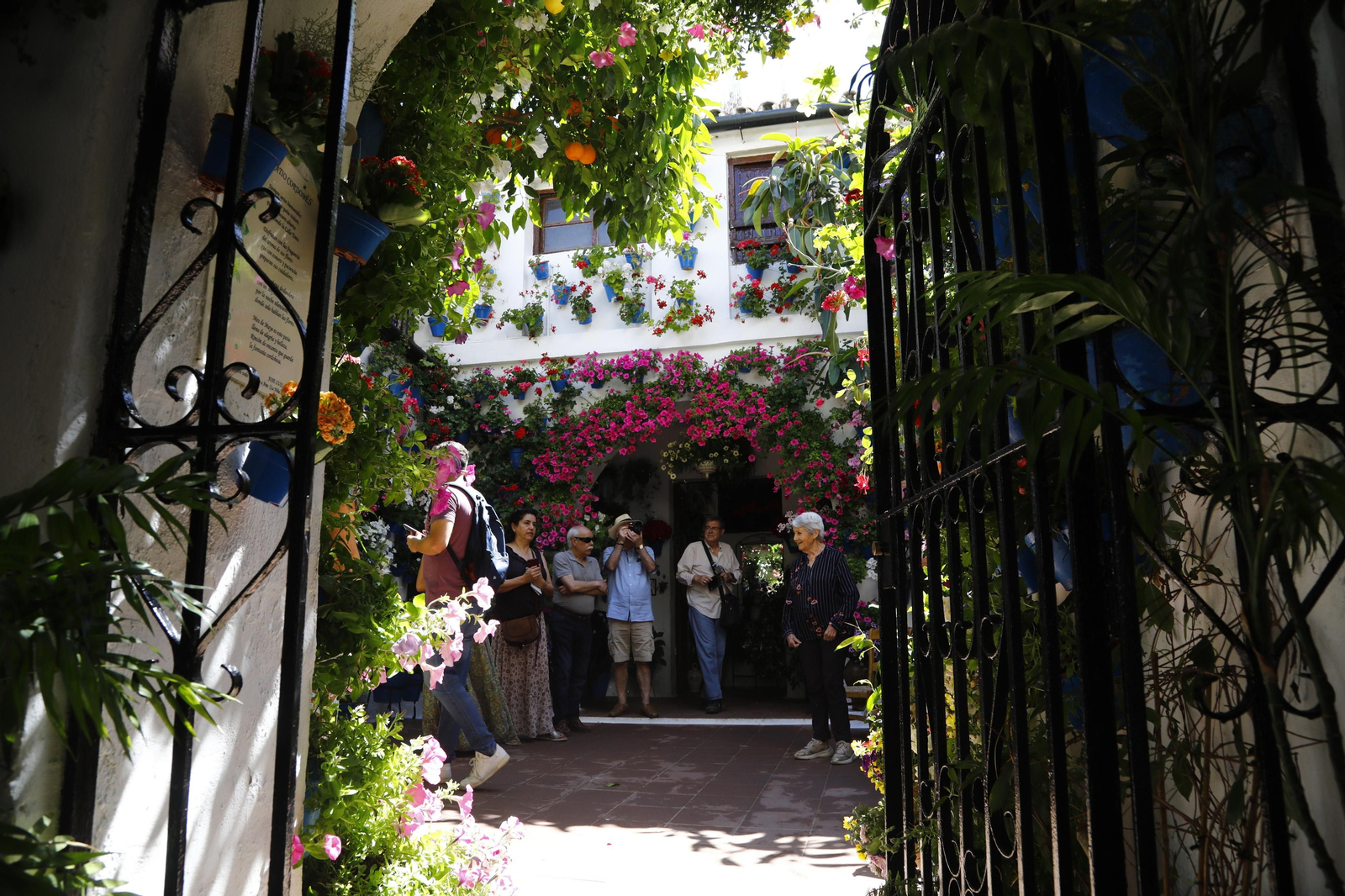Los Patios de Córdoba se preparan para el fin de semana, en imágenes